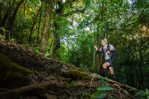 BIB: 398
                            <button type="button" onclick="openModal(16015934)" class="btn btn-primary btn-sm float-right btn-popup" data-toggle="modal" data-target=".modal-high-quality">
                        <i class="fas fa-shopping-cart"></i> Add to Cart
                    </button>
                                            <button type="button" onclick="isThisMe(16015934, true)" class="btn btn-success btn-sm float-right btn-popup btn-isme hidden" data-toggle="tooltip" data-placement="bottom" title="นี่คือรูปของคุณใช่ไหม คลิกที่นี่เพื่อเอาเข้าอัลบั้ม">
                        <i class="fas fa-plus"></i> Add to album
                    </button>
                    <button type="button" onclick="isThisMe(16015934, false)" class="btn btn-warning btn-sm float-right btn-popup btn-isnotme hidden">
                        <i class="fas fa-ban"></i> Remove from album
                    </button>